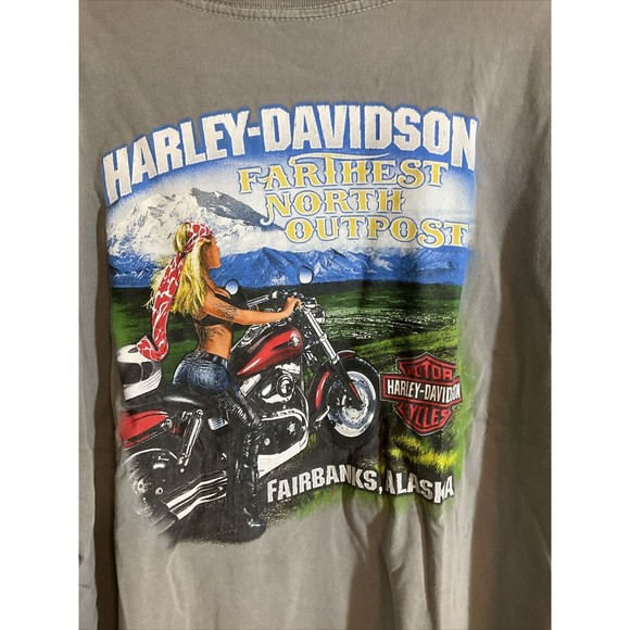 Harley Davidson Men’s XL Gray T Shirt Short Sleeve Graphic Fairbanks Alaska - Picture 9 of 10